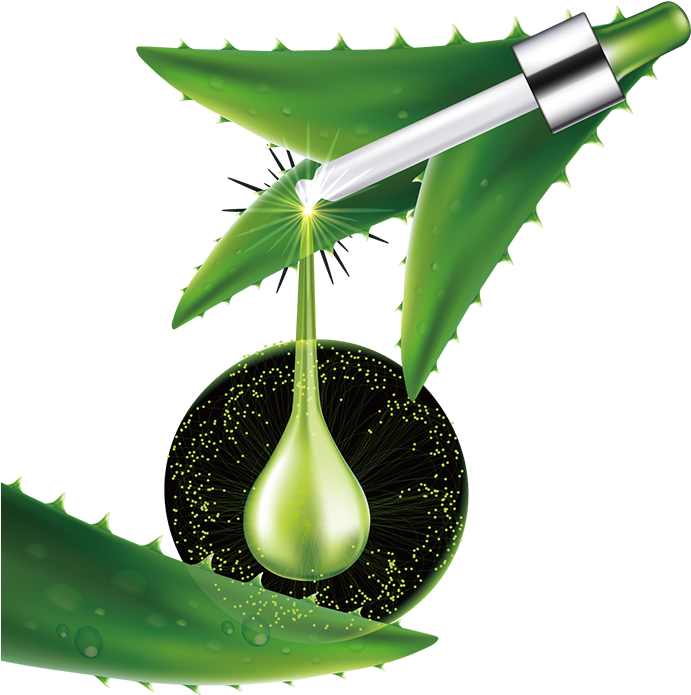 Aloe Vera Extraction Illustration PNG image