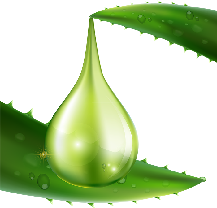 Aloe Vera Gel Drop Illustration PNG image