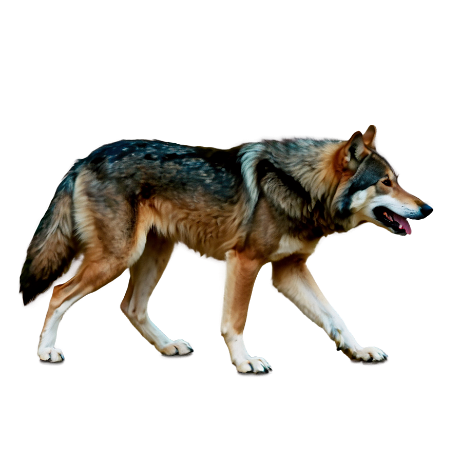 Alpha Wolf In Action Png Tfe PNG image