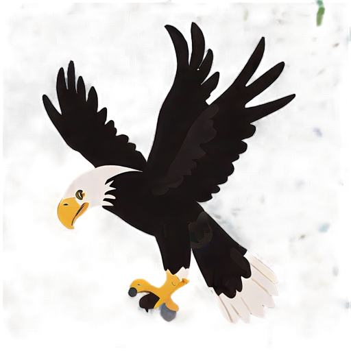 American Bald Eagle Portrait Png B PNG image