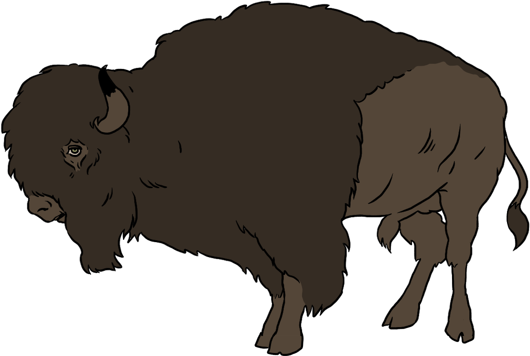 American Bison Illustration PNG image