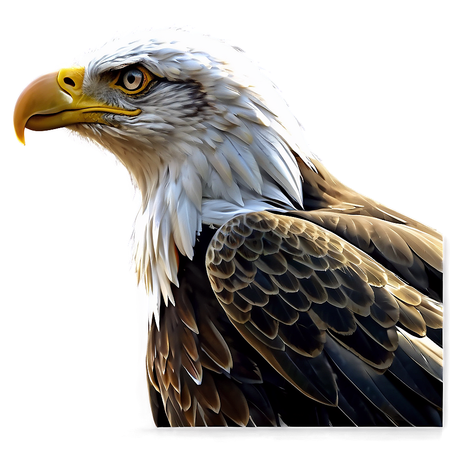 American Eagle Digital Art Png 06122024 PNG image