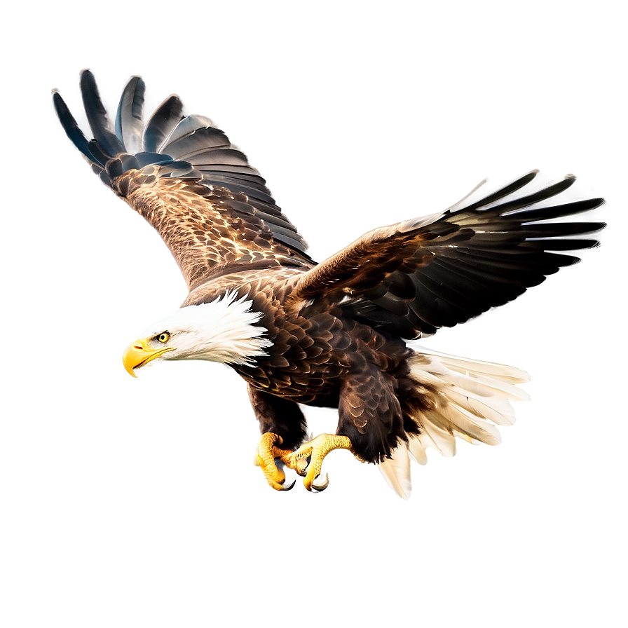 American Eagle Flying High Png Rob49 PNG image