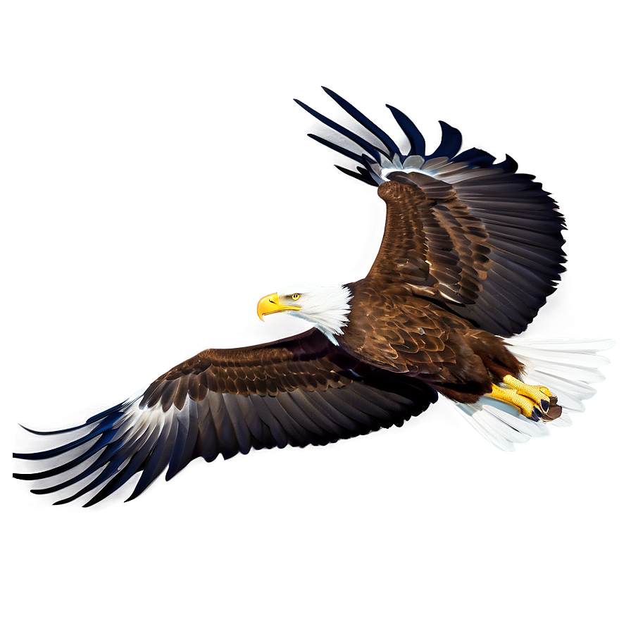 American Eagle Gliding Png 96 PNG image