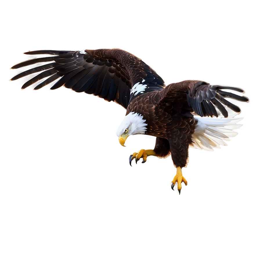 American Eagle In Dawn Light Png Mmg PNG image