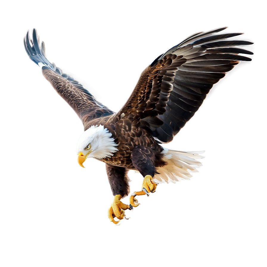 American Eagle In Flight Png 06122024 PNG image