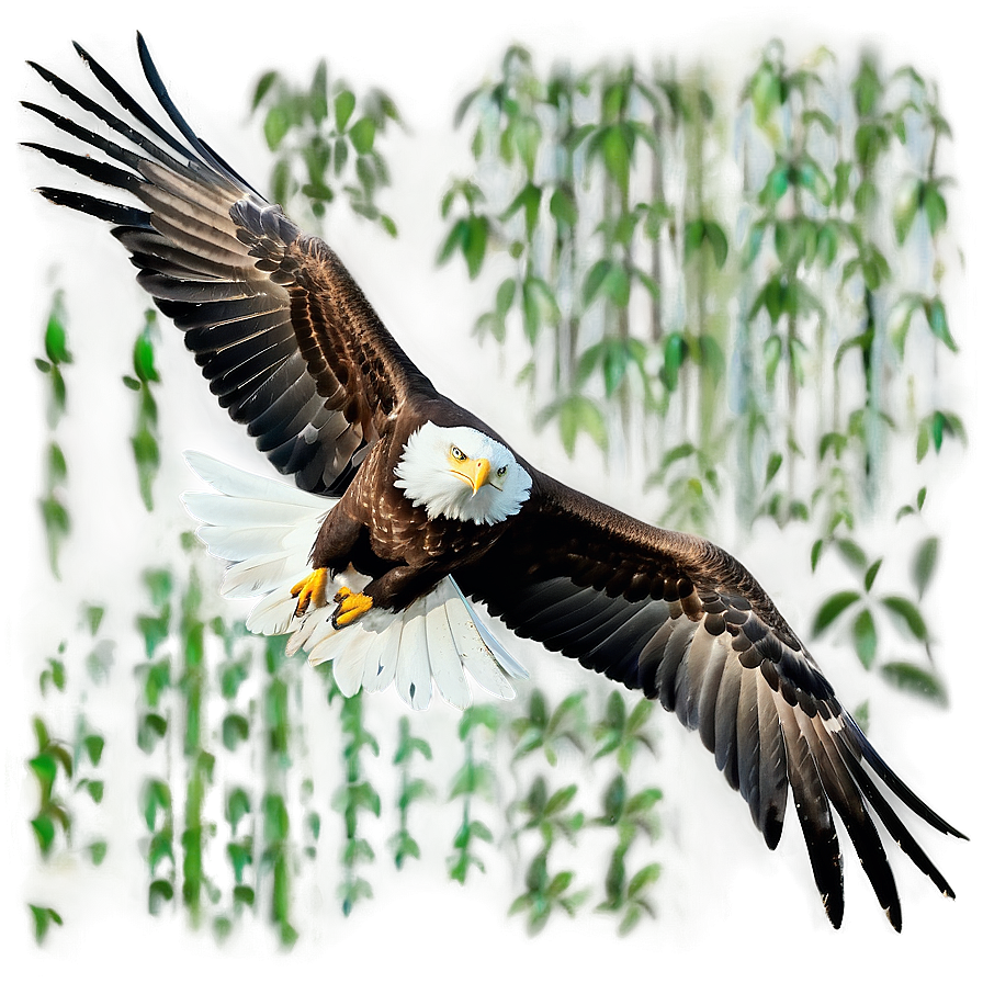 American Eagle In The Wild Png 06122024 PNG image