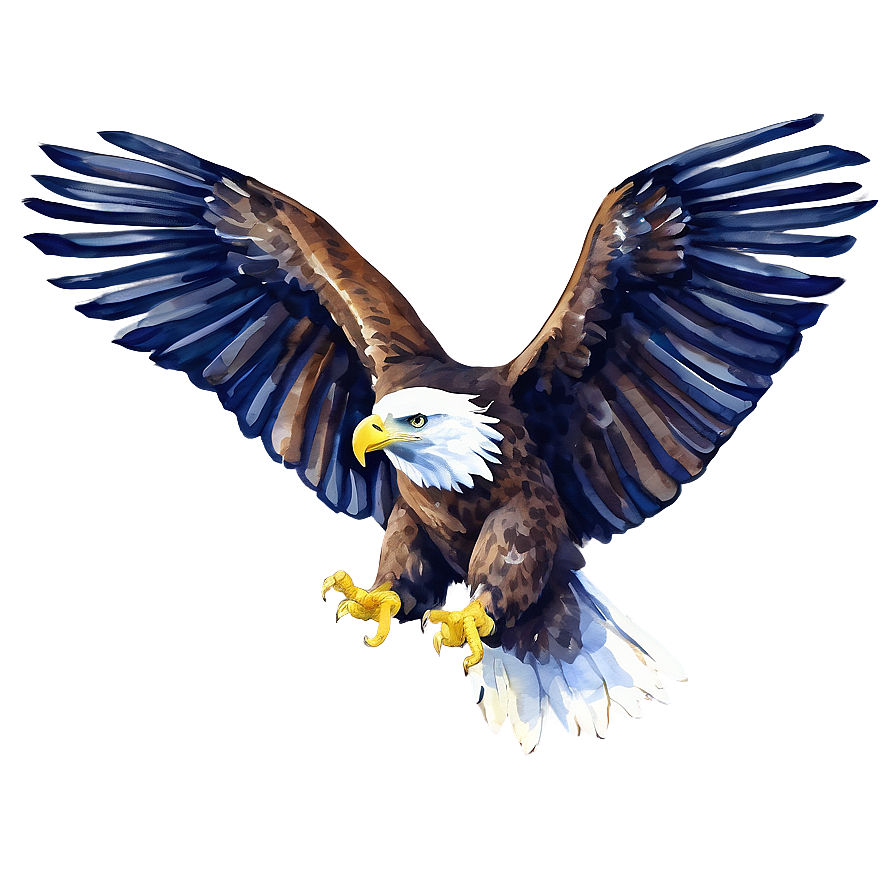 American Eagle Watercolor Png Bku80 PNG image