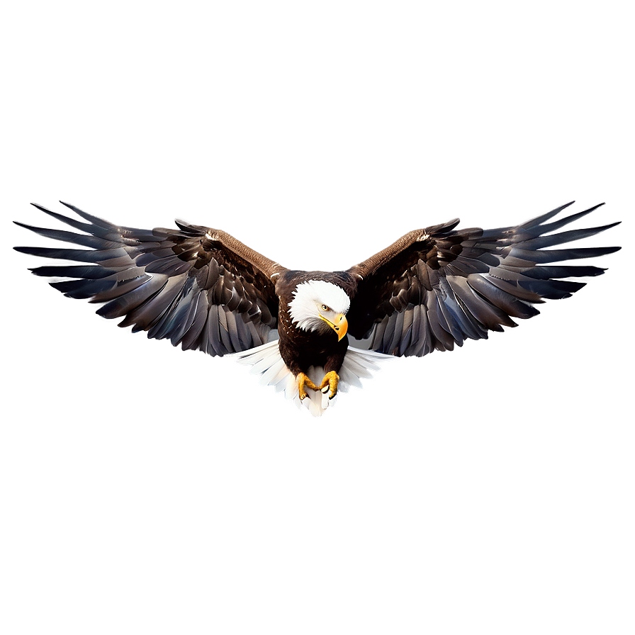 American Eagle Wings Spread Png Son PNG image