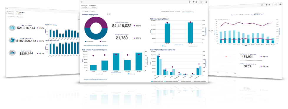 American Express Financial Dashboard Overview PNG image