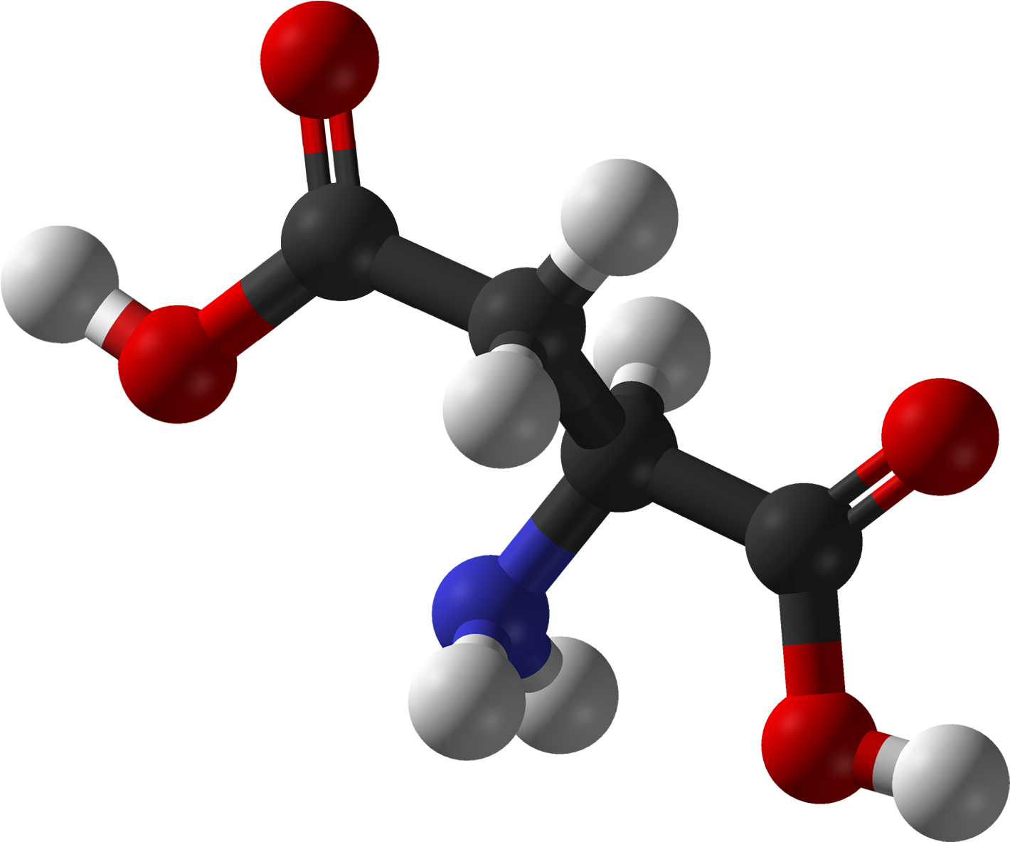 Amino Acid Molecule3 D Model PNG image