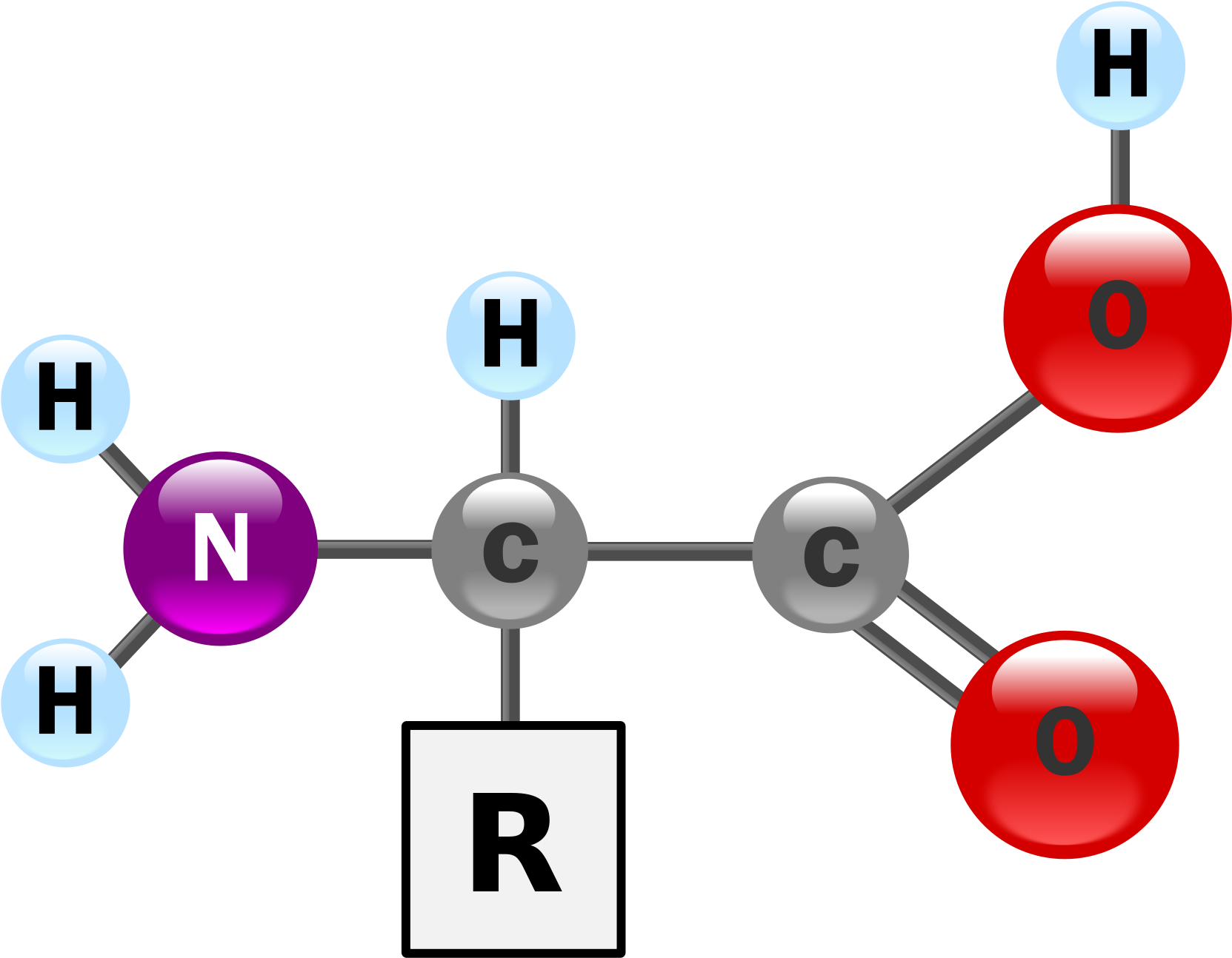 Amino Acid Structure Representation PNG image