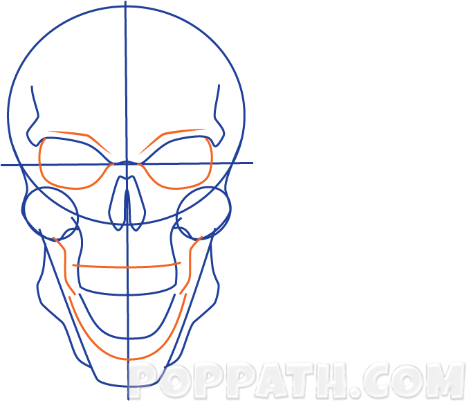 Anatomical Skull Drawing Guide PNG image