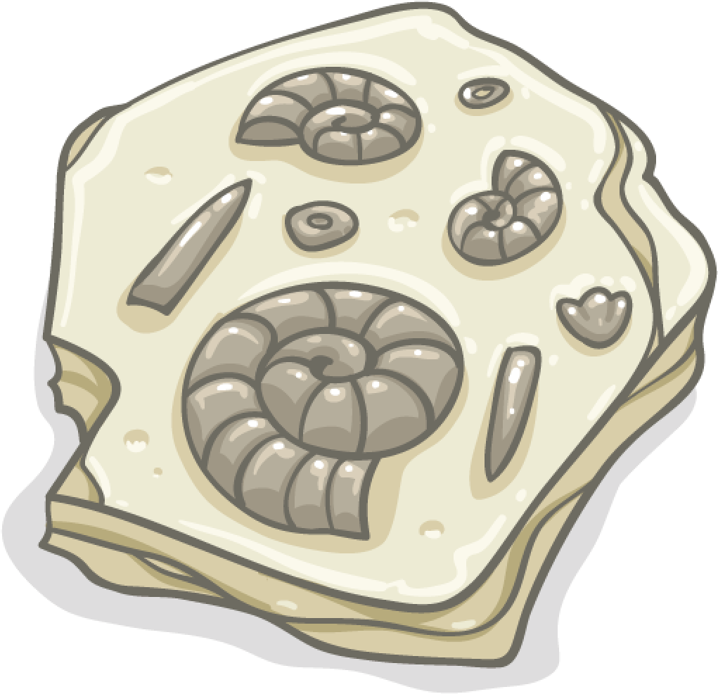 Ancient Ammonite Fossil Illustration PNG image