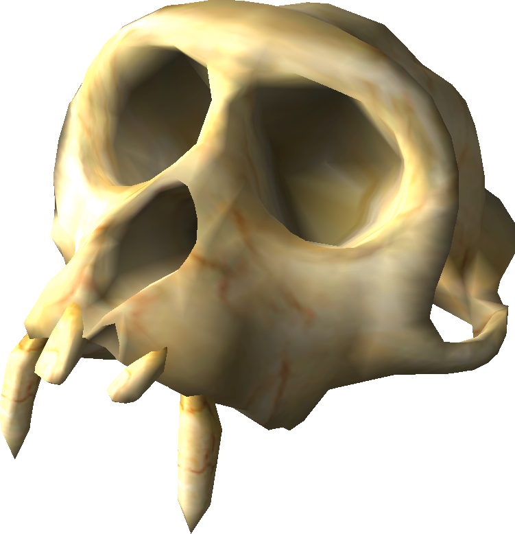 Ancient Skull Fossil3 D Render PNG image
