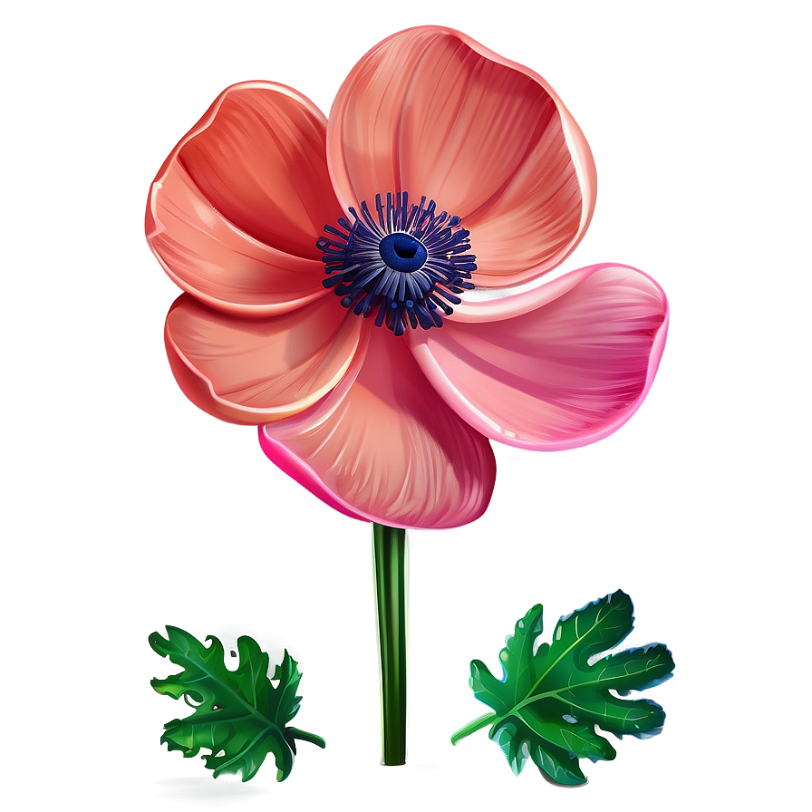 Anemone Flower Illustration Png 05252024 PNG image