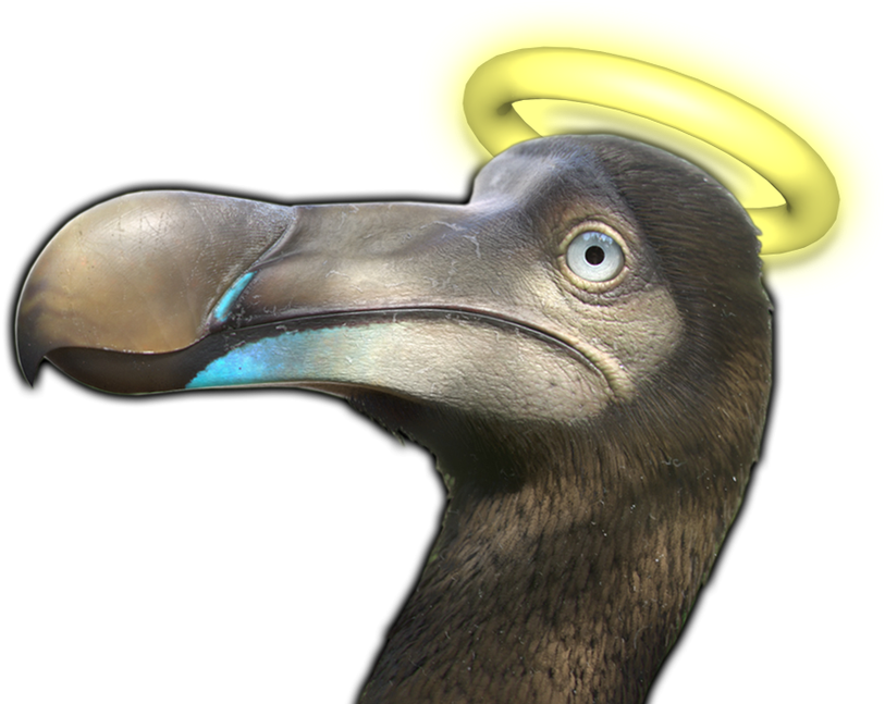 Angel Halo Dodo Bird PNG image