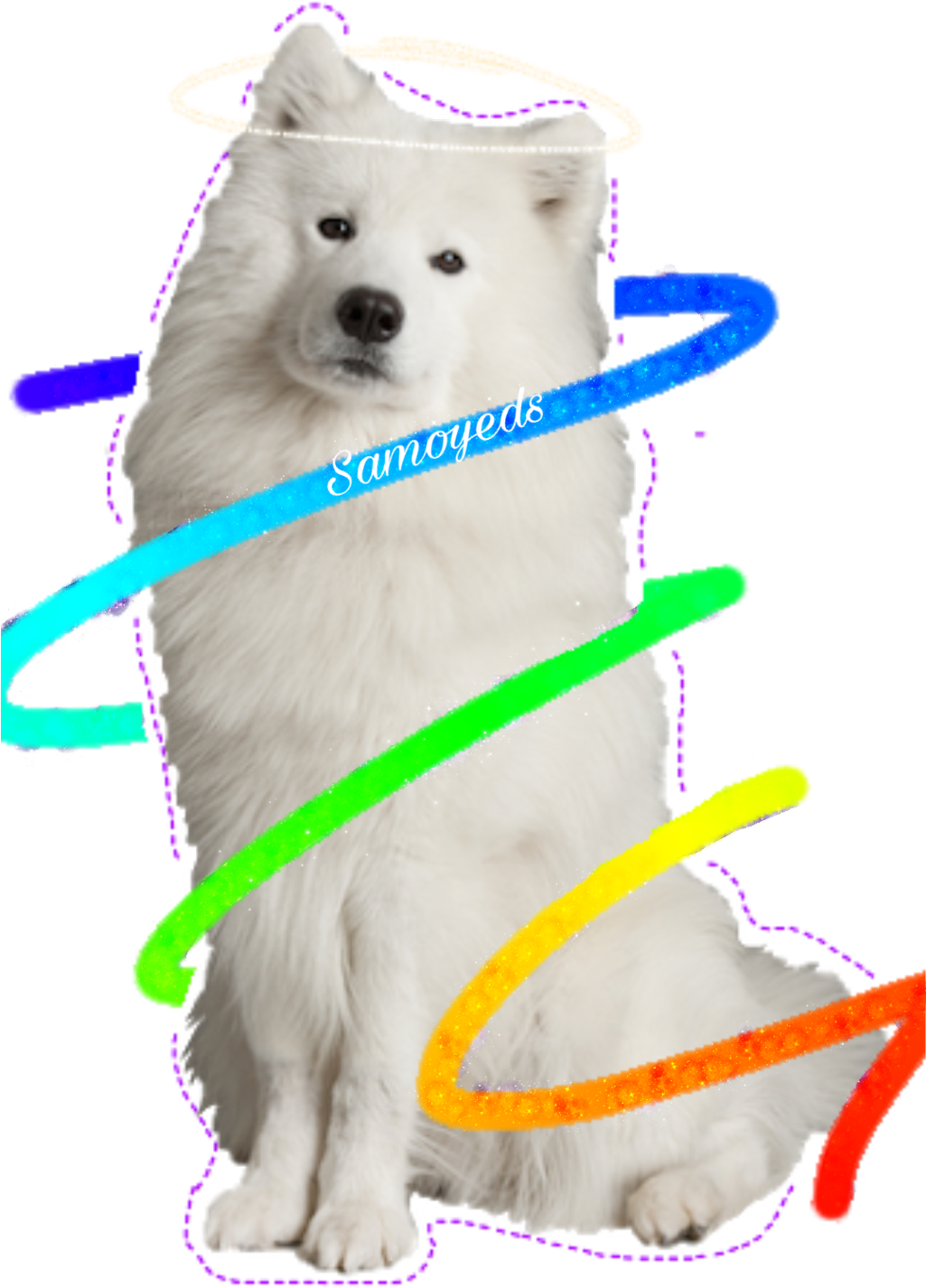 Angel Halo Samoyed Dog Surrounded By Colorful Rings PNG image