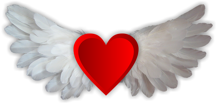 Angel Heart Wings Love PNG image