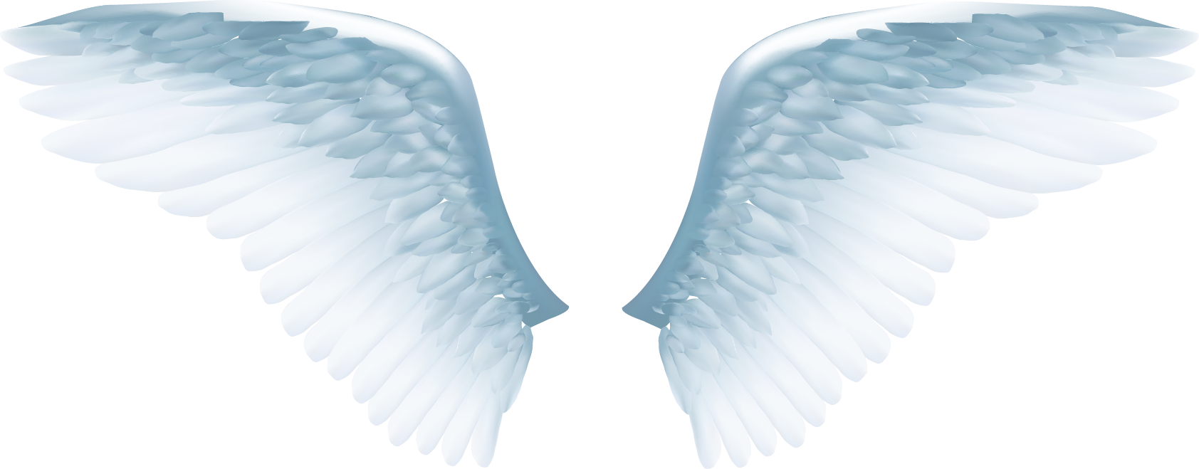 Angel Wings Graphic PNG image