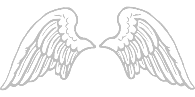Angel Wings Graphic Black Background PNG image