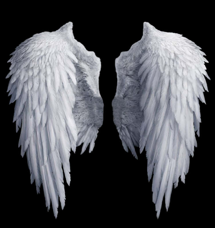 Angel Wings Isolatedon Black PNG image