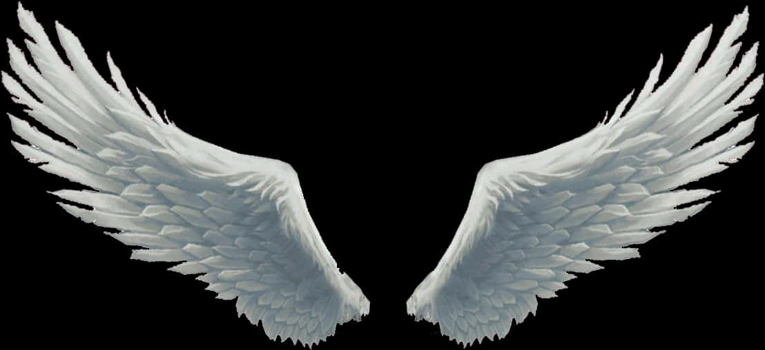 Angel Wings Spread Black Background PNG image