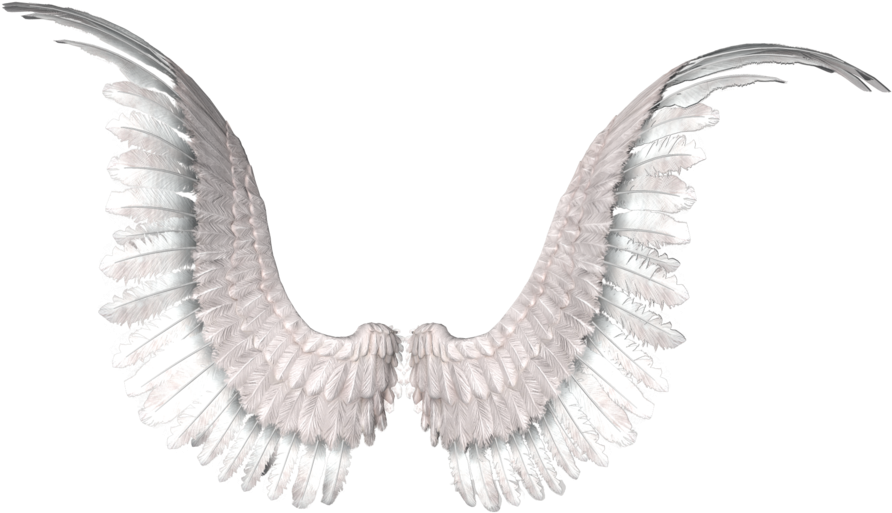 Angel Wings Spread Out PNG image