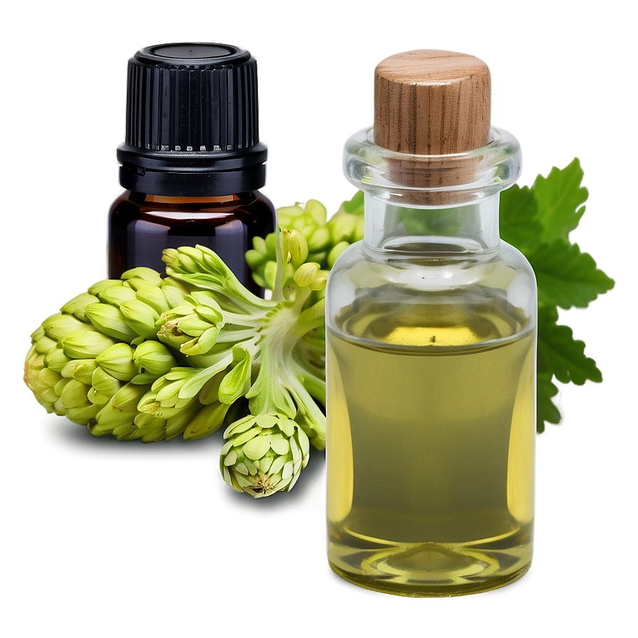 Angelica Essential Oil Png Bnf PNG image