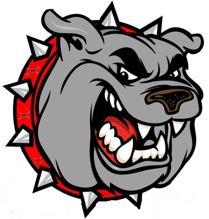 Angry Badger Mascot Graphic PNG image