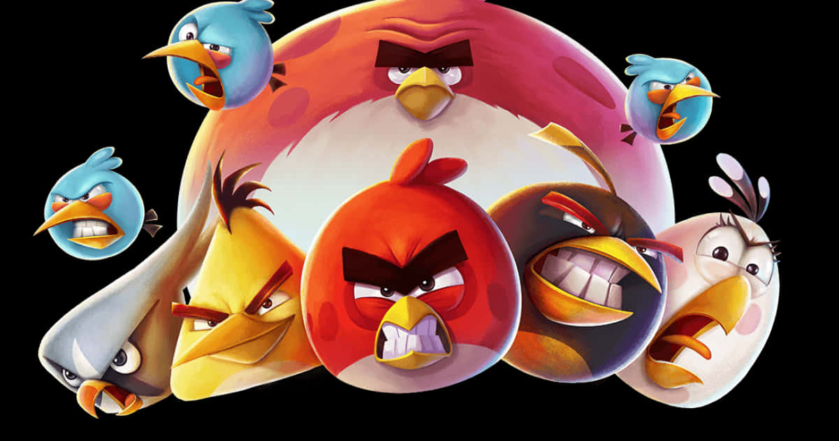 Angry Birds Character Collage PNG image