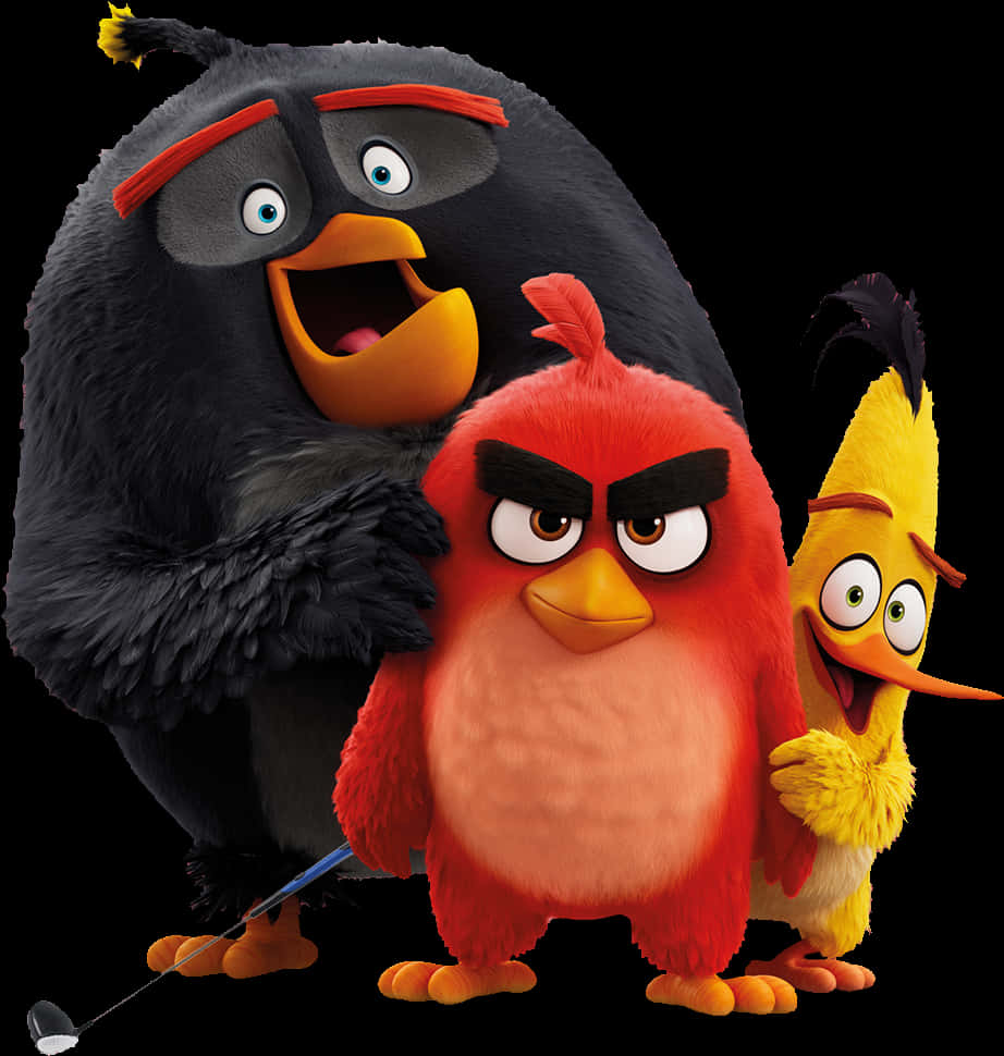 Angry Birds Characters Group PNG image