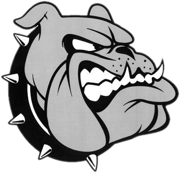 Angry Bulldog Cartoon Graphic PNG image