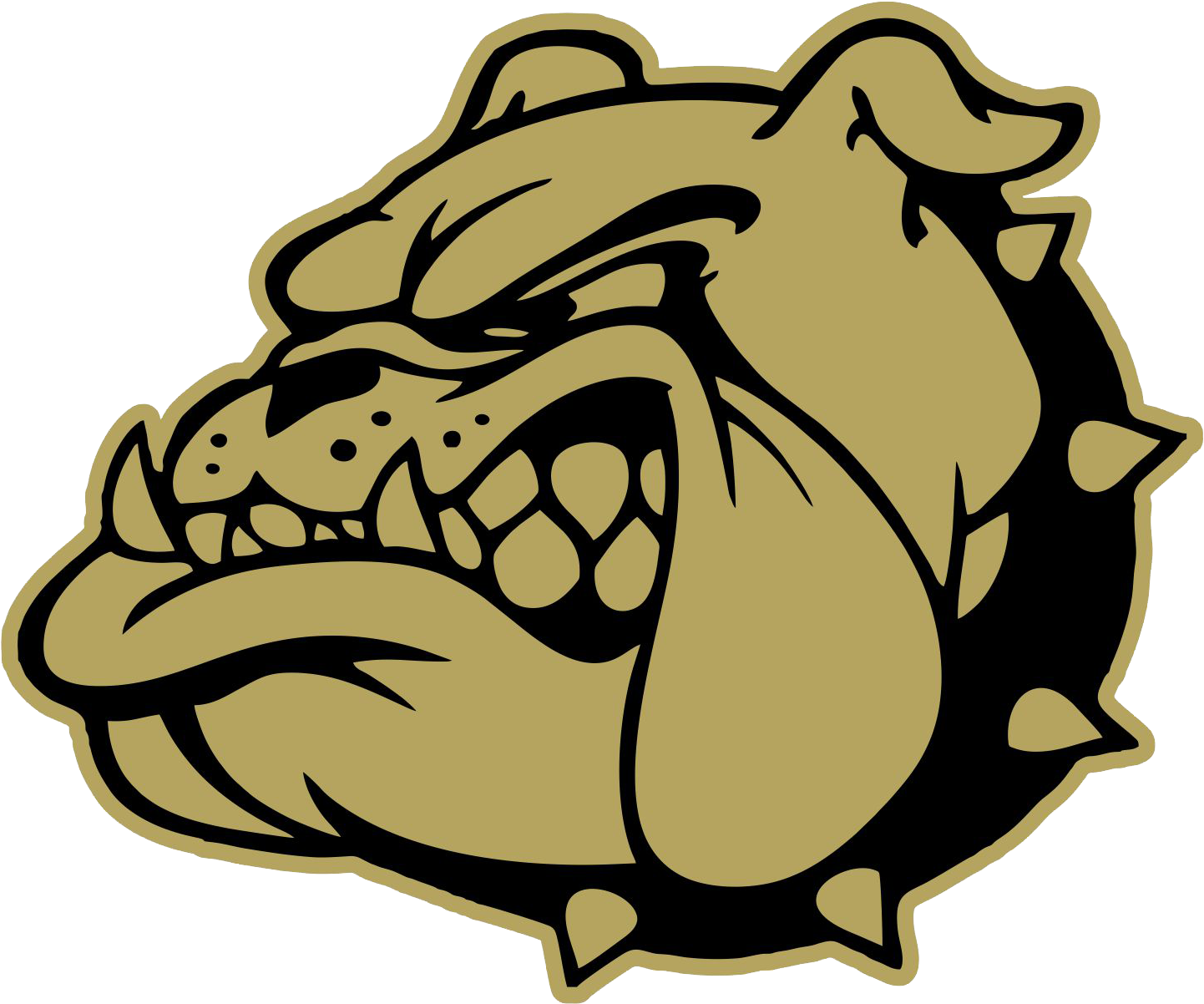 Angry Bulldog Graphic PNG image