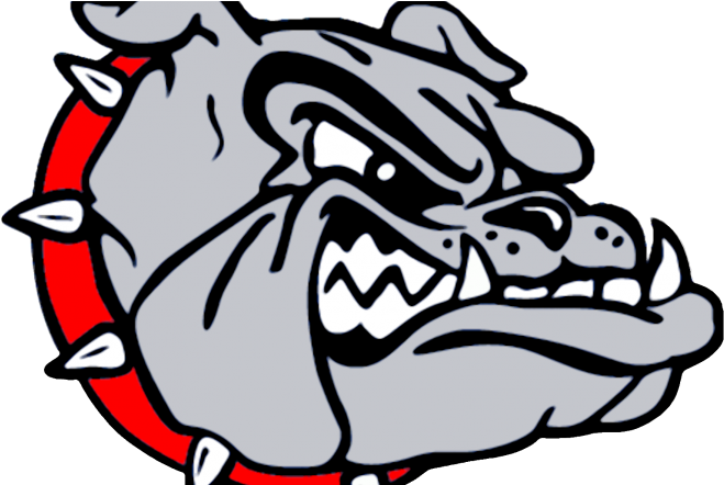 Angry Bulldog Graphic PNG image