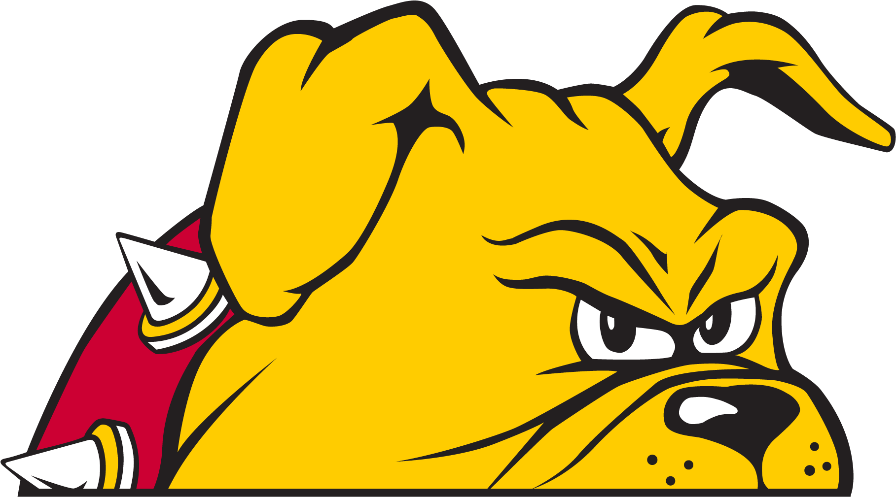 Angry Bulldog Mascot Graphic PNG image