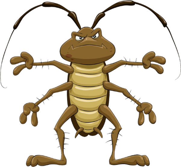 Angry Cartoon Cockroach Illustration PNG image