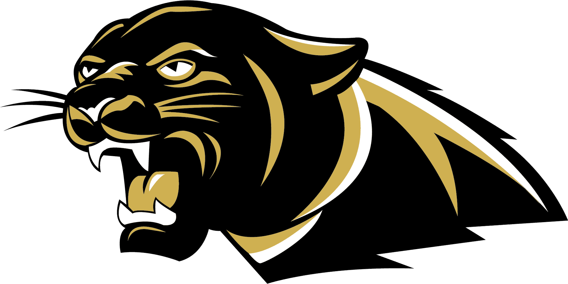 Angry Cougar Mascot Graphic PNG image