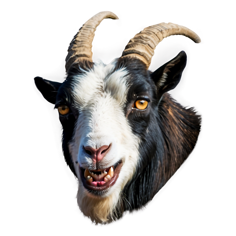 Angry Goat Png 05232024 PNG image