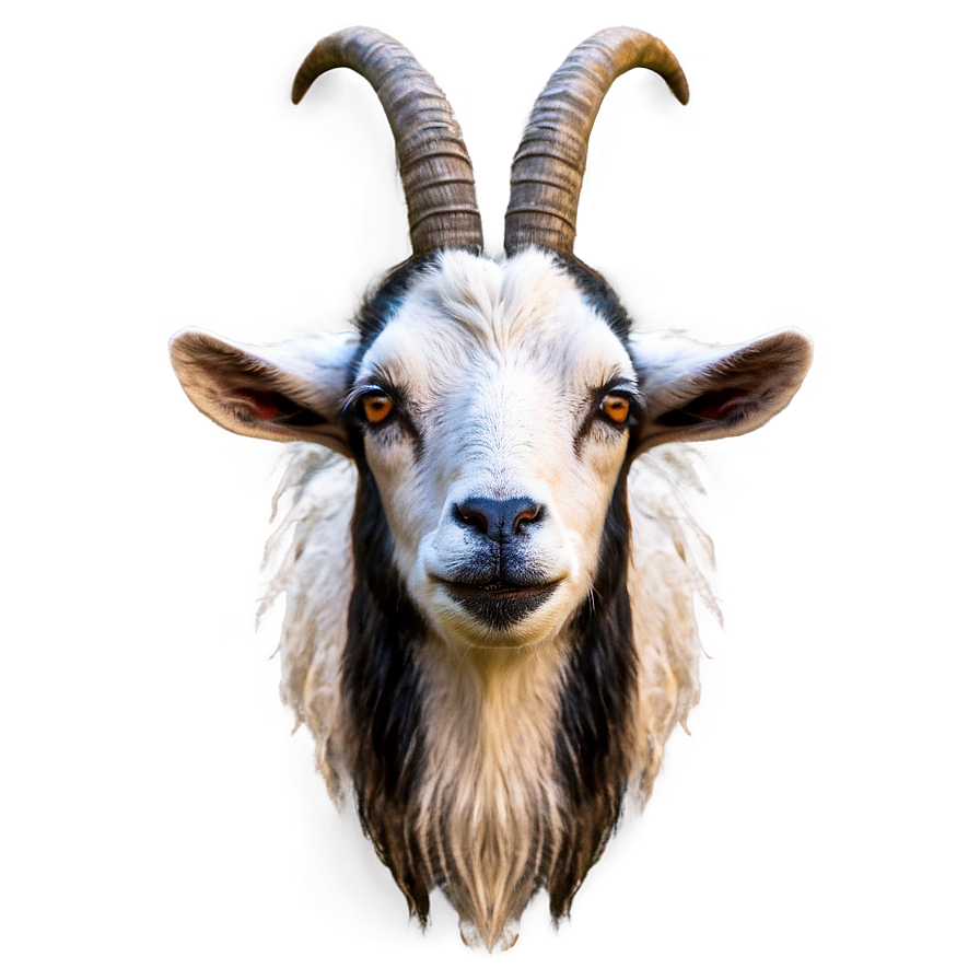 Angry Goat Png Hym PNG image