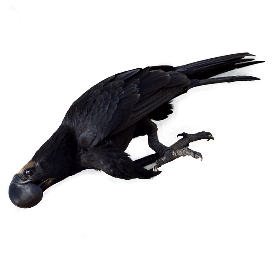 Angry Raven Png Irx PNG image