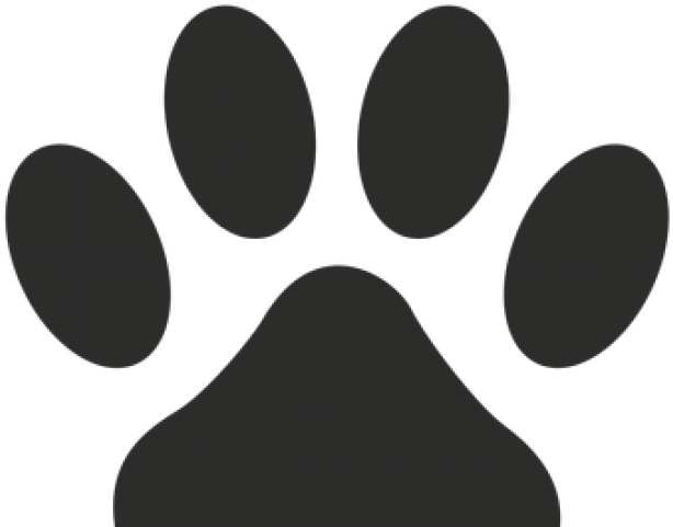 Animal Paw Print Graphic PNG image