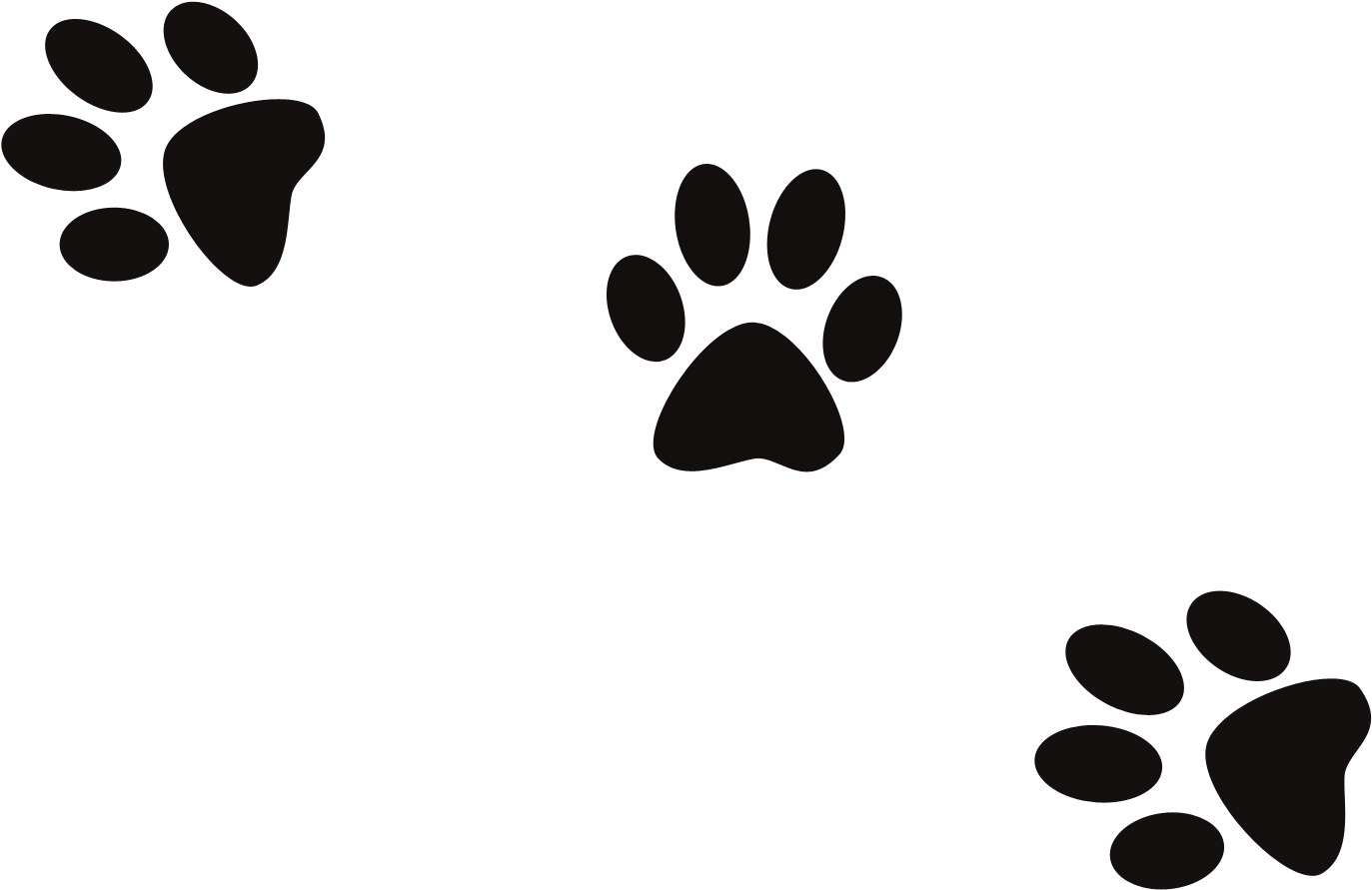 Animal Paw Prints Pattern PNG image