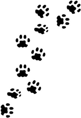 Animal Paw Prints Pattern PNG image