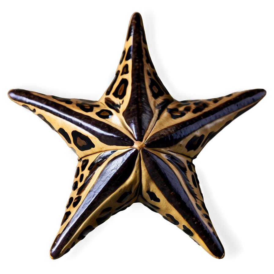 Animal Print Star Png 59 PNG image