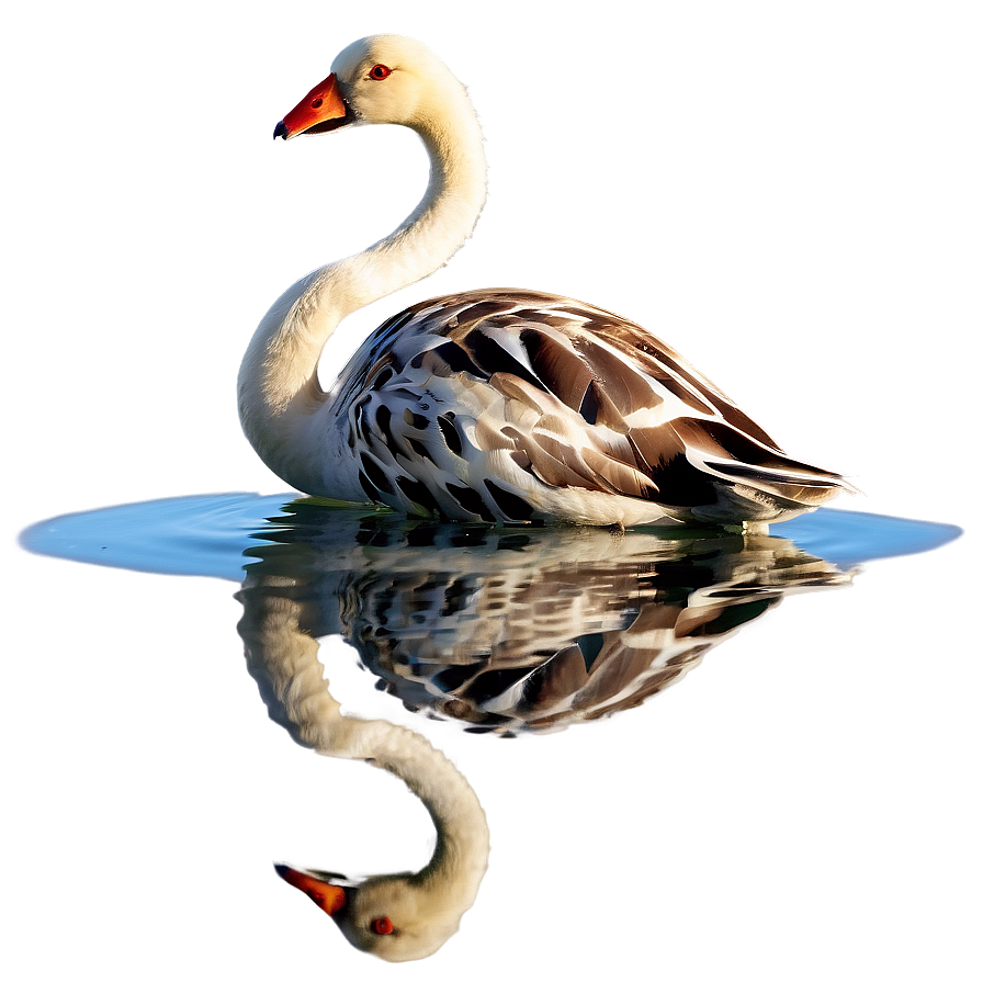 Animal Reflection Png Cgu91 PNG image