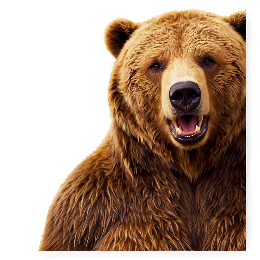 Animated Bear Face Png 06292024 PNG image