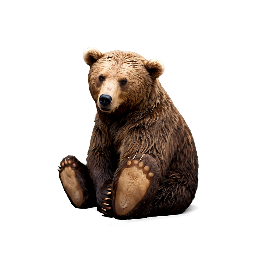 Animated Bear Png 29 PNG image