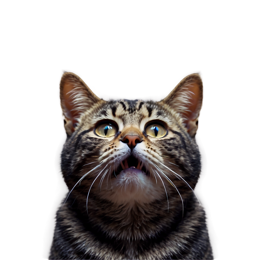 Animated Cat Filter Png 06282024 PNG image