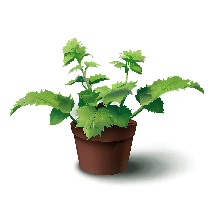 Animated Catnip Plant Png 59 PNG image